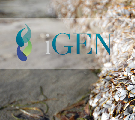 iGEN Logo